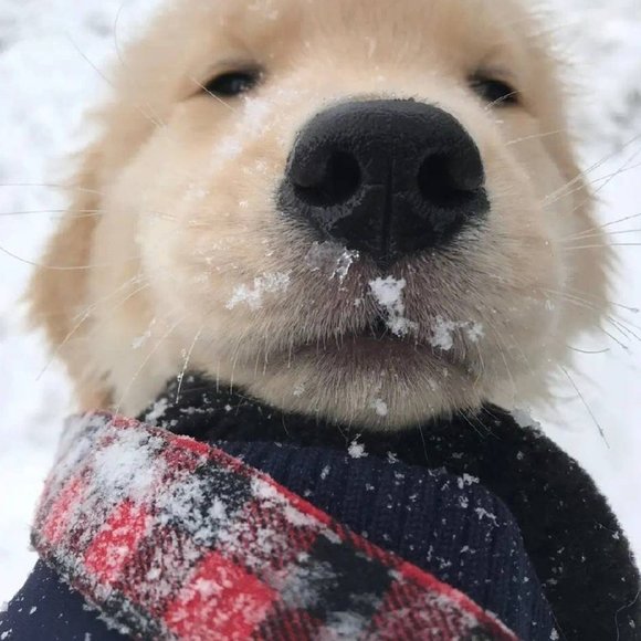 子钦子钦子钦子钦子钦 - Picture 1 of 2